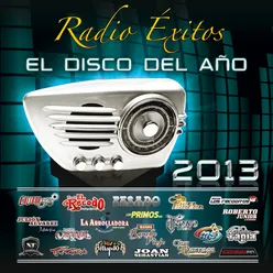 Radio Éxitos El Disco Del Año 2013