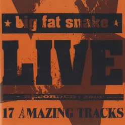 Live (17 Amazing Tracks)