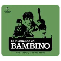 Flamenco es... Bambino