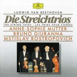 Beethoven: The String Trios