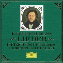 16. Die alten, bösen Lieder