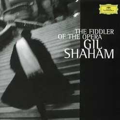 The Fiddler Of The Opera