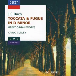 Bach, J.S.: Great Organ Works - Toccata & Fugue in D minor, Sinfonia in D etc.