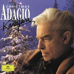 2. Adagio - Allegro - Adagio