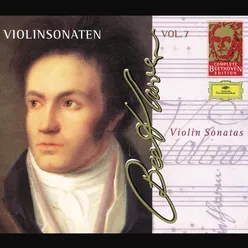 Beethoven: Violin Sonatas-Complete Beethoven Edition Vol.7