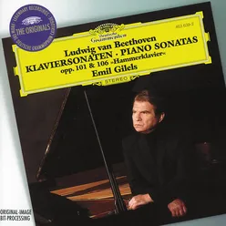 Beethoven: The Piano Sonatas