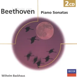 Beethoven: Piano Sonatas-2 CD