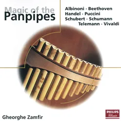 The Magic of the Pan Pipes-null