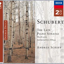 Schubert: The Late Piano Sonatas-2 CDs