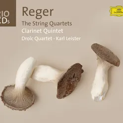 Reger: The String Quartets