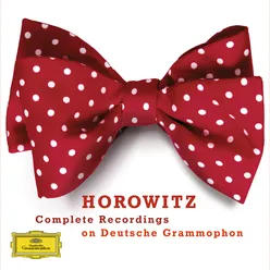 Vladimir Horowitz - Complete Recordings on Deutsche Grammophon-null