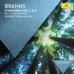 Brahms: The Symphonies (3 CDs)