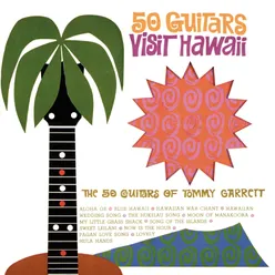 50 Guitars Visit Hawaii