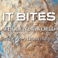Whole New World The Virgin Albums 1986-1991