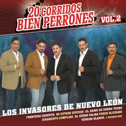 20 Corridos Bien Perrones Vol. 2