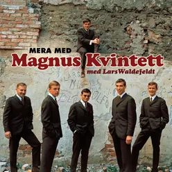 Mera med Magnus Kvintett