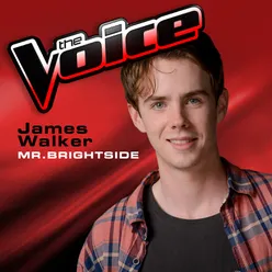 Mr. Brightside-The Voice 2013 Performance