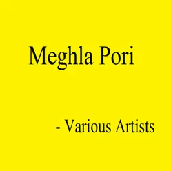 Meghla Pori