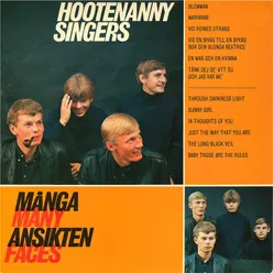 Många ansikten / Many Faces