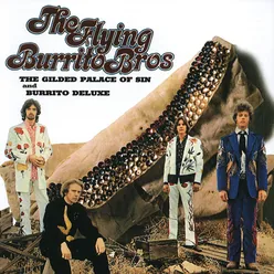 Hot Burrito #2