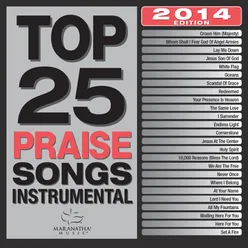 Top 25 Praise Songs Instrumental 2014