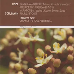 Liszt: Fantasia and Fugue 'Ad nos, ad salutarem undam'; Prelude and Fugue on B-A-C-H; Variations on 'Weinen, Klagen, Sorgen, Zagen'/Schumann: Four Sketches