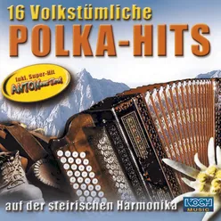 16 volkstümliche Polka-Hits