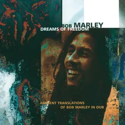 Dreams Of Freedom Ambient Translations Of Bob Marley In Dub