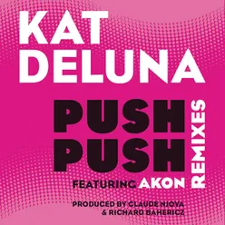 Push Push Remixes