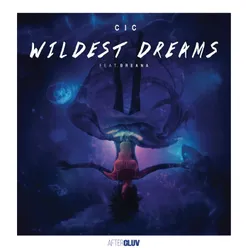 Wildest Dreams Radio Edit