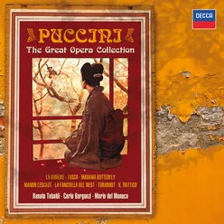 Puccini: The Great Operas-15 CDs