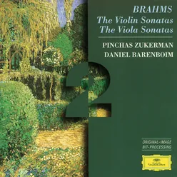 Brahms: The Violin Sonatas; The Viola Sonatas-2 CDs