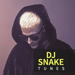 DJ Snake Tunes