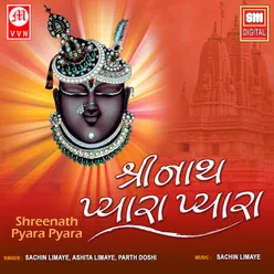 Vinati Swikaro Shreeji - Thal