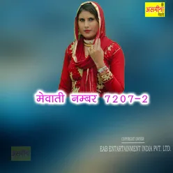 Mewati Namber 7207-2