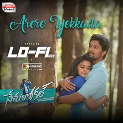 Nenu Local