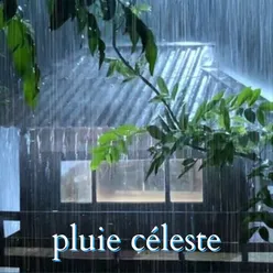 Lluvia Relajante