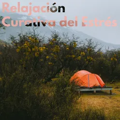 Relajación Curativa del Estrés