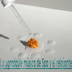 La agradable música de Spa y el relajante