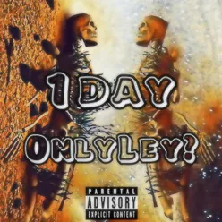 1 DAY