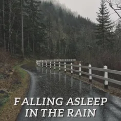 Falling Asleep In The Rain