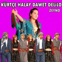 Kürtçe Halay Dawet Delilo