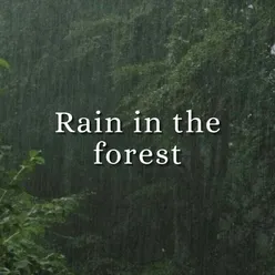 Rain In The Forest