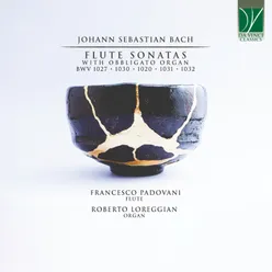 Sonata for Transverse Flute and Organ in G Major, BWV 1027: II. Allegro ma non tanto