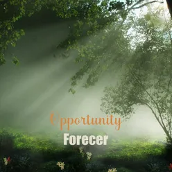 Opportunity Forecer