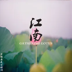 Gathering Lotus