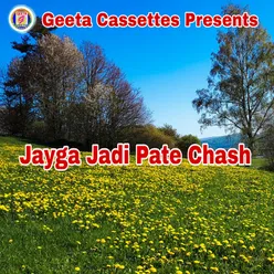 Jayga Jadi Pate Chash