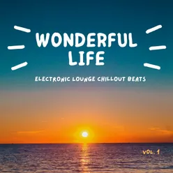 Wonderful Life, Vol. 1 Electronic Lounge Chillout Beats