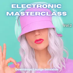 Electronic Masterclass, Vol. 2 Downtempo Lounge Selection