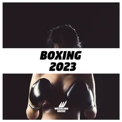 Boxing 2023